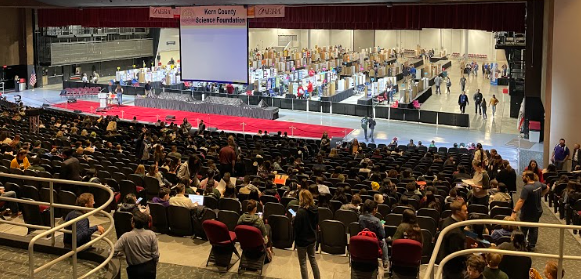 stage filled with science fair boards